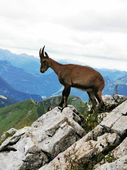 Appartement Vue Sur Le Golf Et Le Lac Leman アンフィオン・レ・バン エクステリア 写真